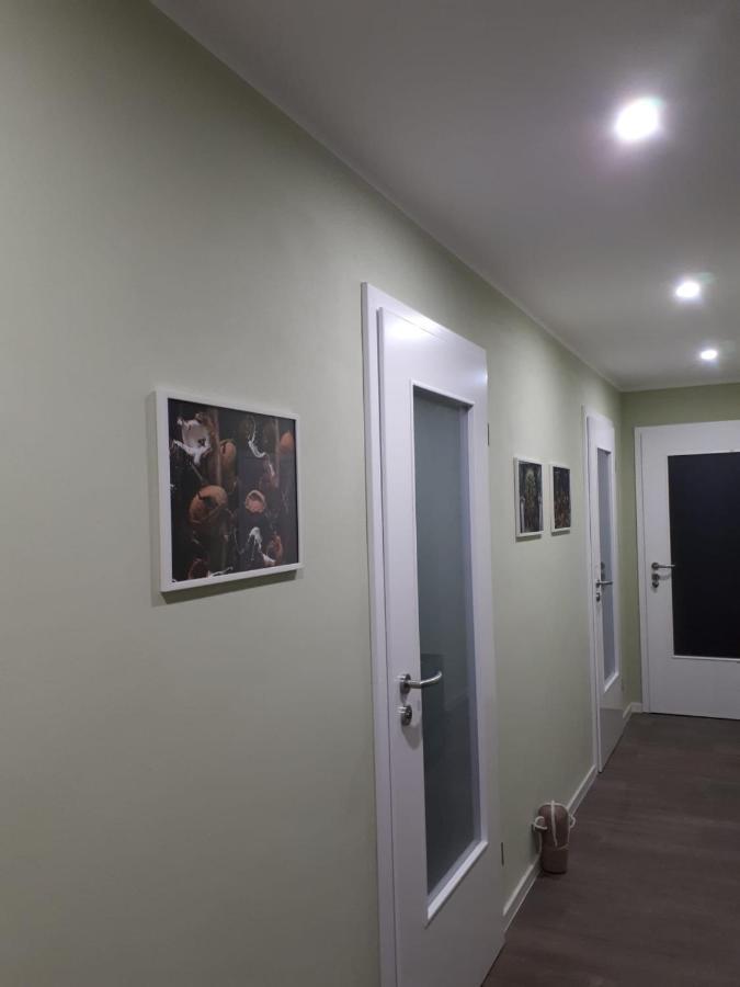 Ferienwohnung Rotbuche Tannenberg Kültér fotó